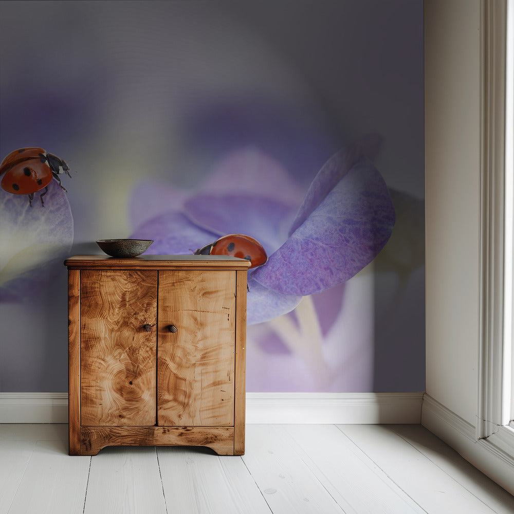 Rood en paars | Behang