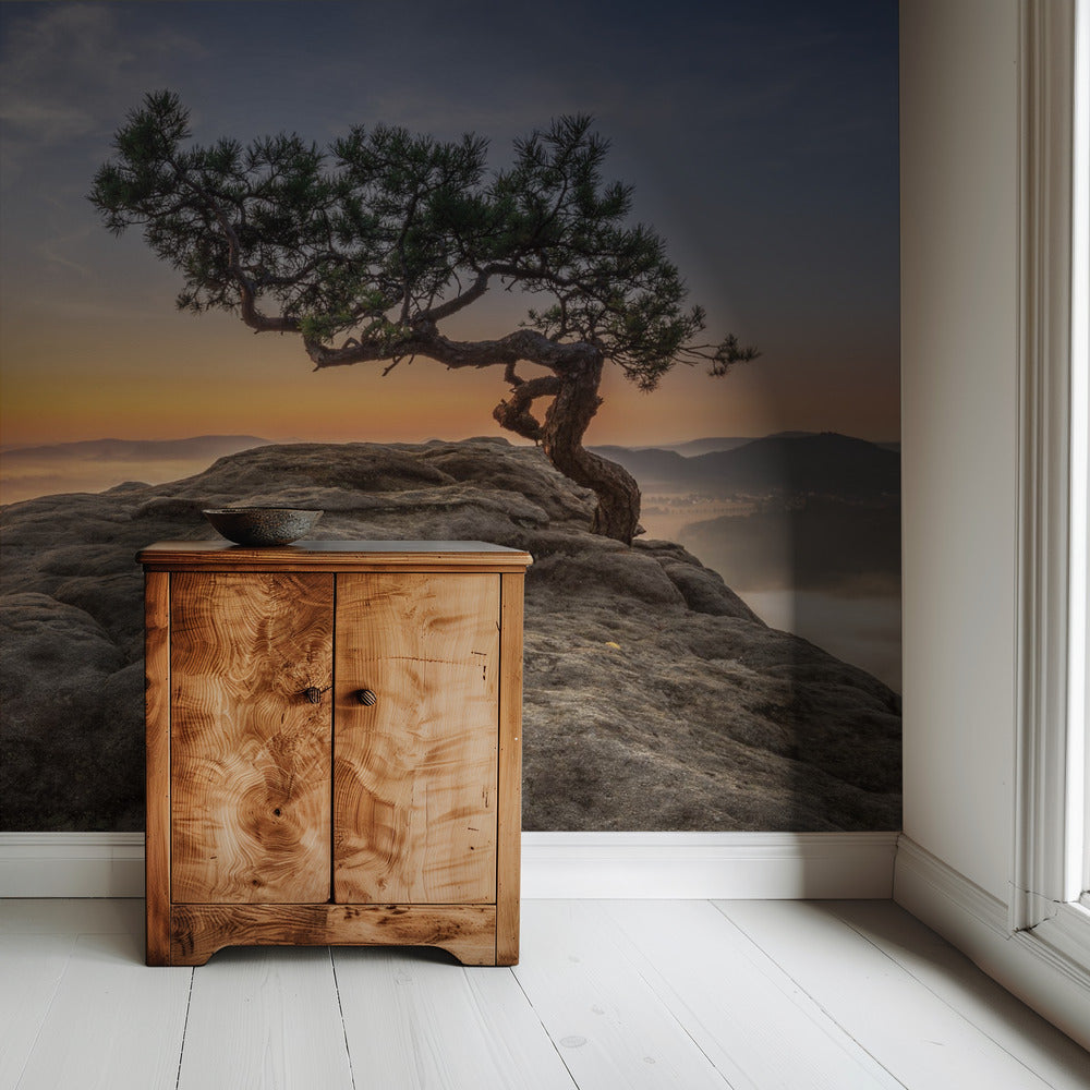 Oud grenen | Behang