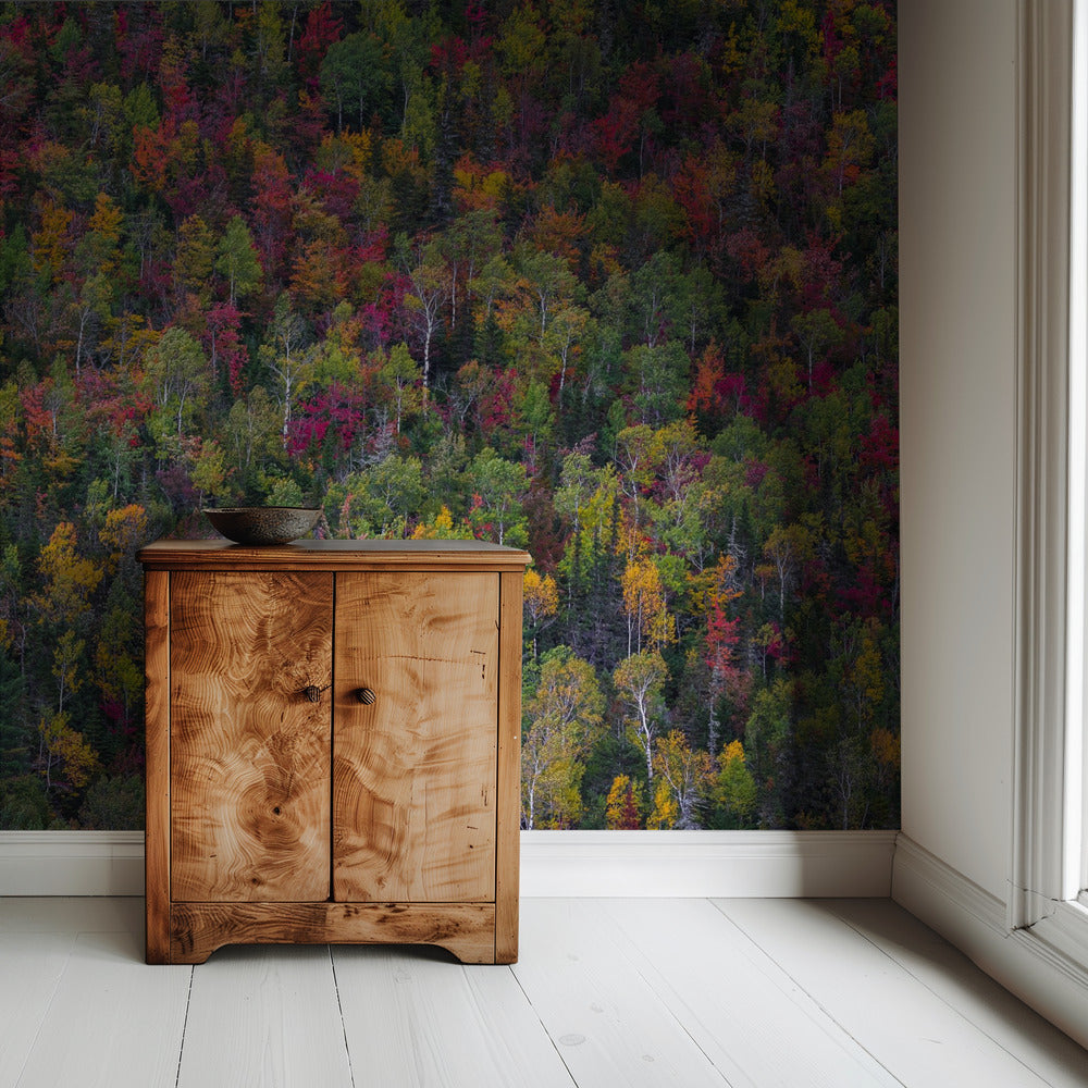 Kleurenpalet | Behang