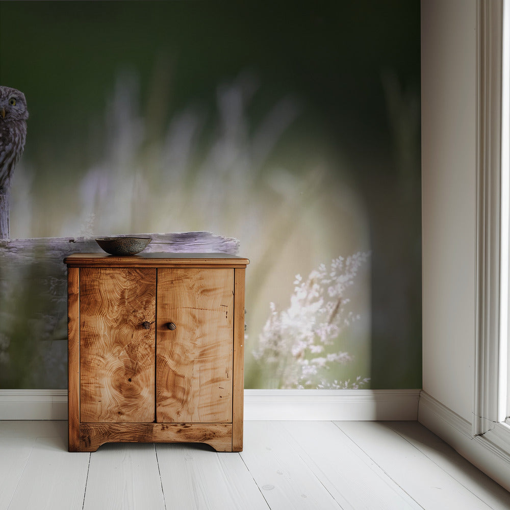 Kleine uil | Behang
