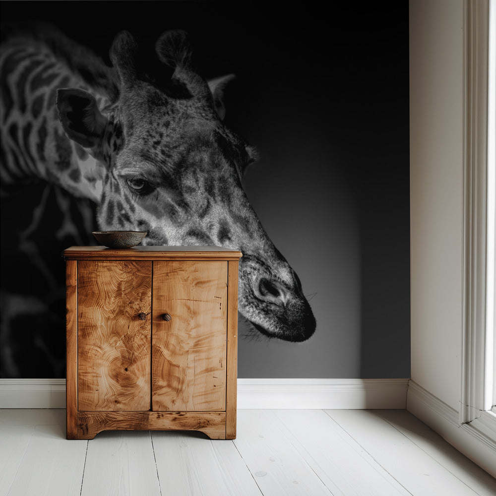 Giraffe | Wallpaper