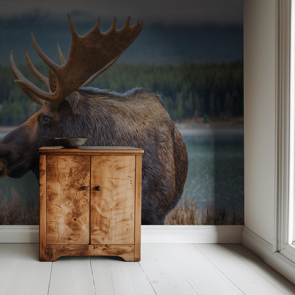 Eland | Behang