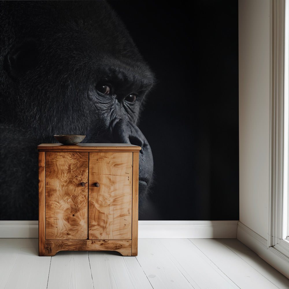 gorilla-blik | Achtergrond