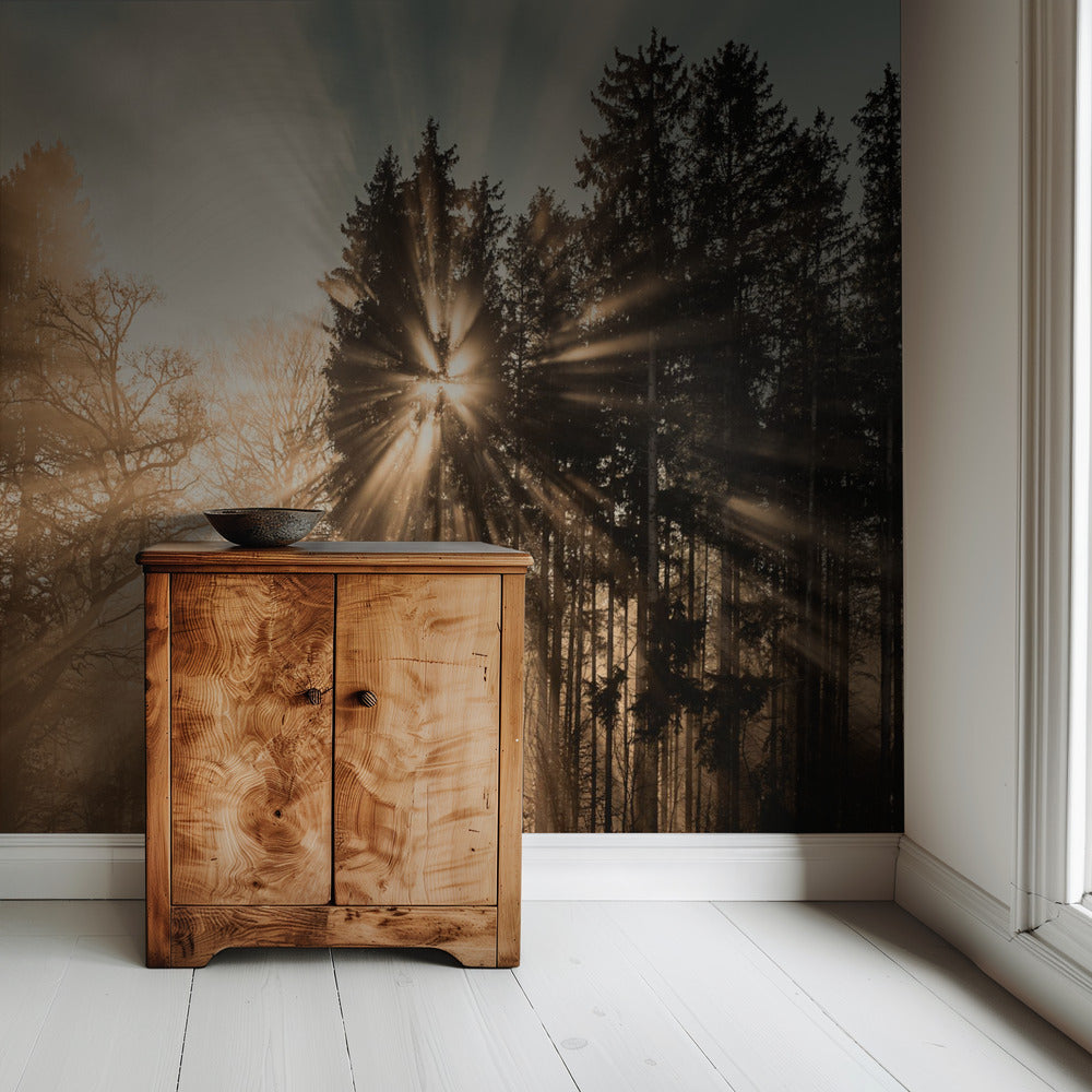 Verdwijnen | Behang