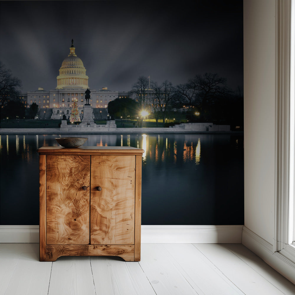 Capitol Hill | Behang
