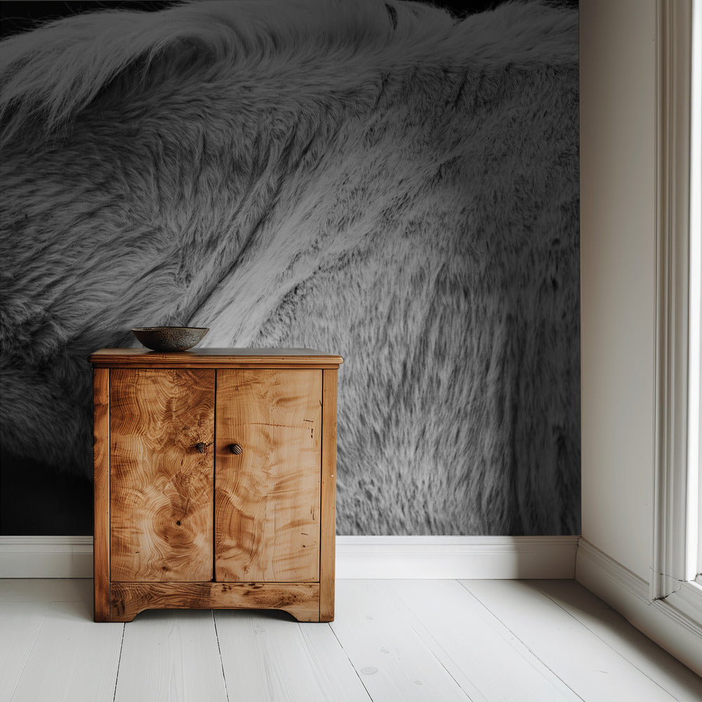 Paard II | Achtergrond