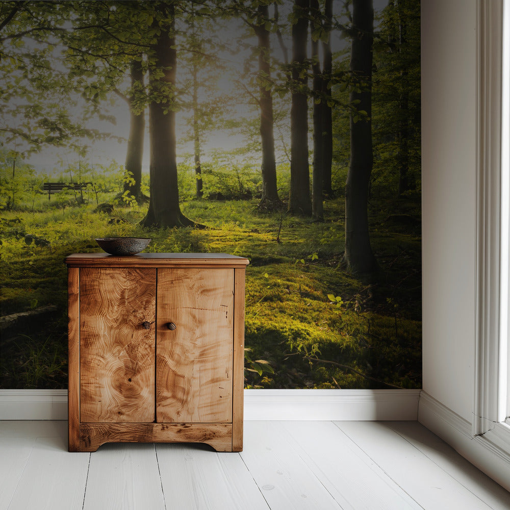 Zomer in het bos | Behang