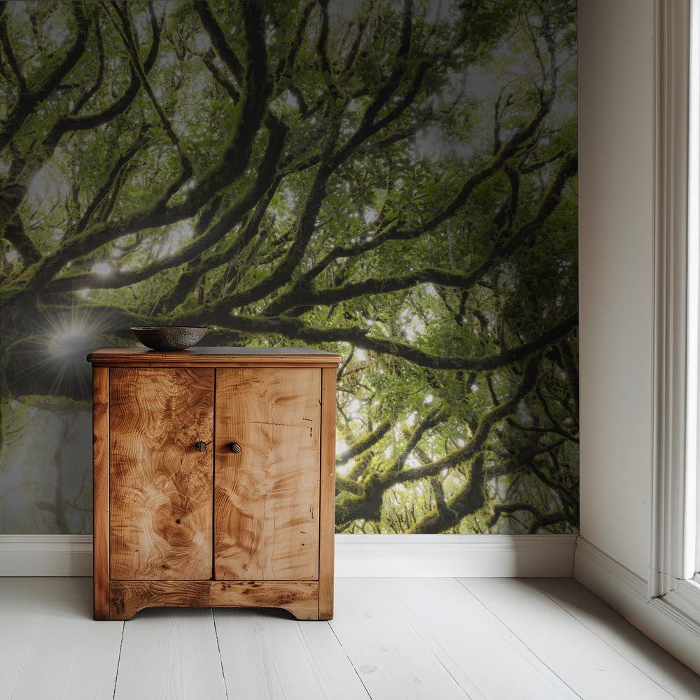Groene Ster | Behang