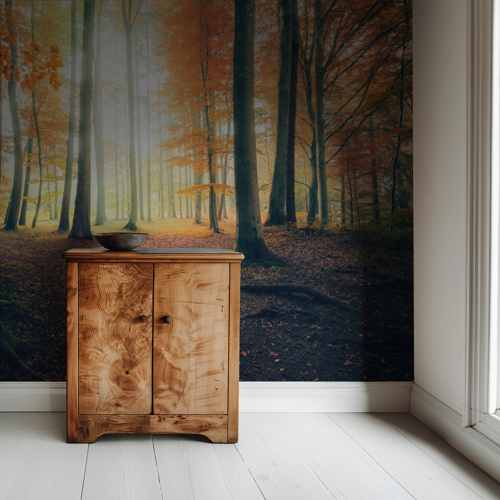 Herfst in het bos | Behang