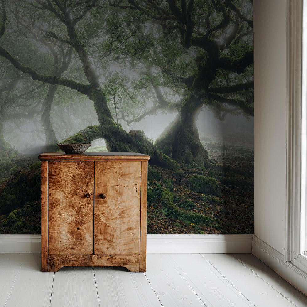 Mystiek Laurierbos | Achtergrond