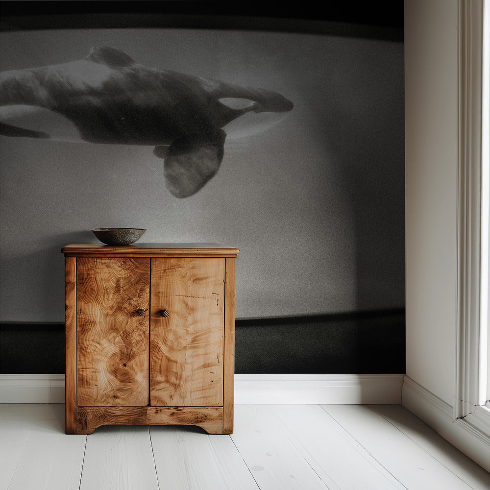 Binnen het domein van de orka | Achtergrond