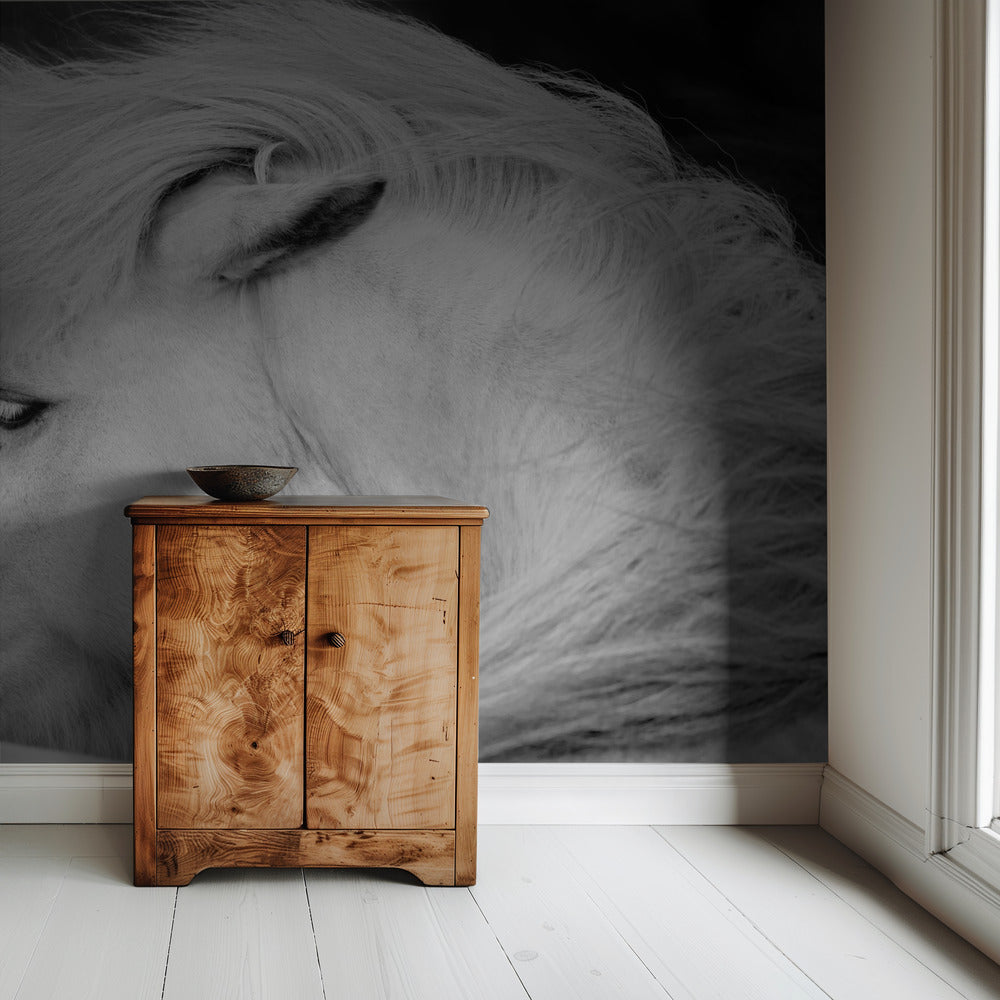 Luister naar de wind | Achtergrond