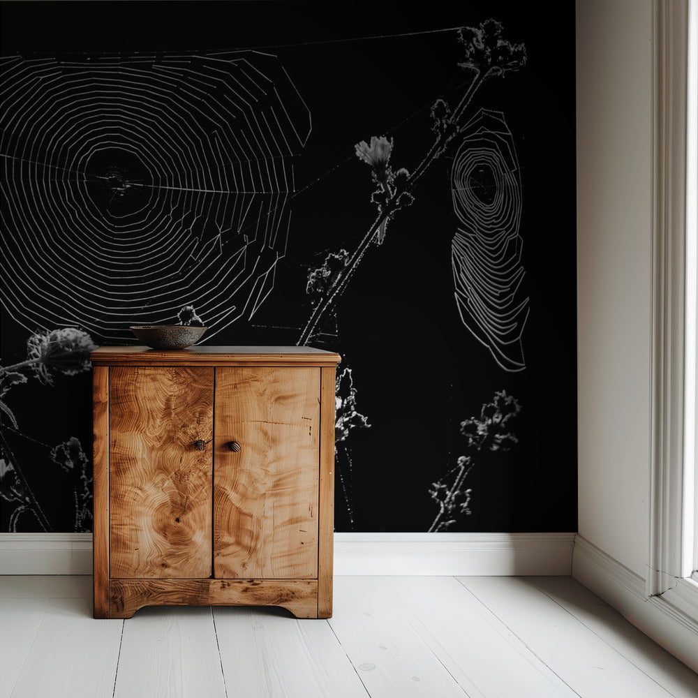 Spinnenwebben | Behang