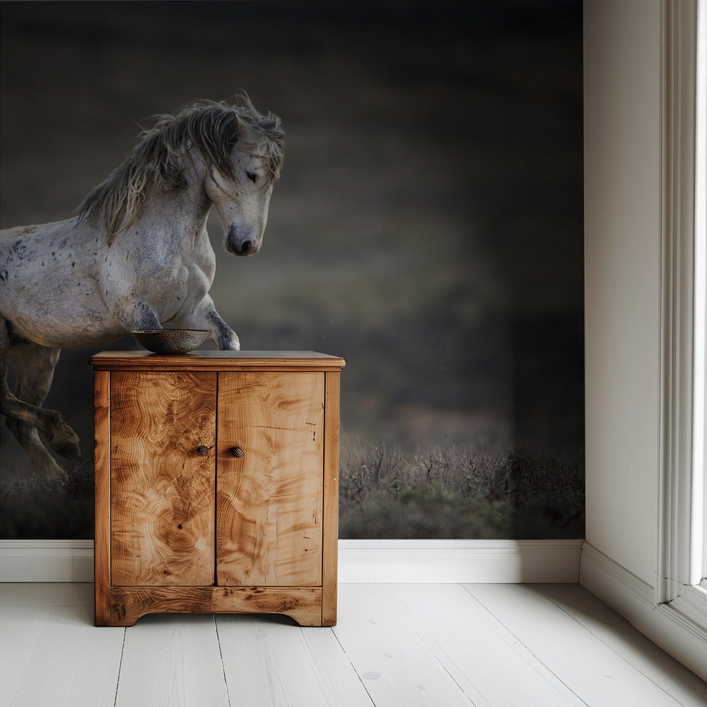 Mustang, wild paard / Equus ferus caballus | Behang