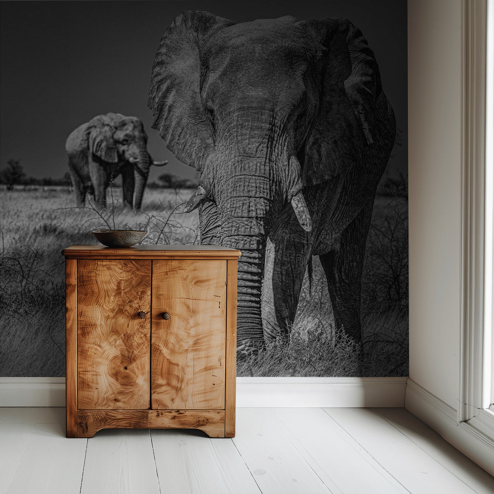 Olifantenvelden | Behang