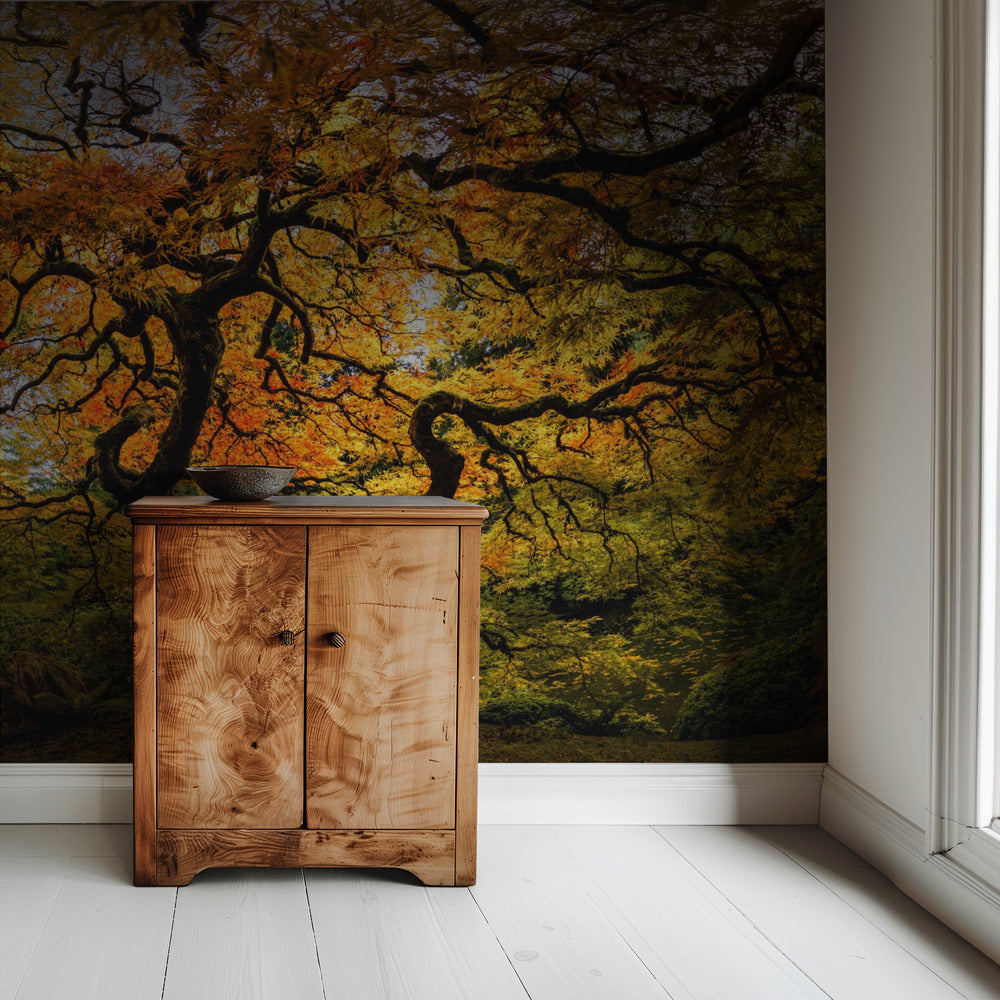 De esdoorn | Behang