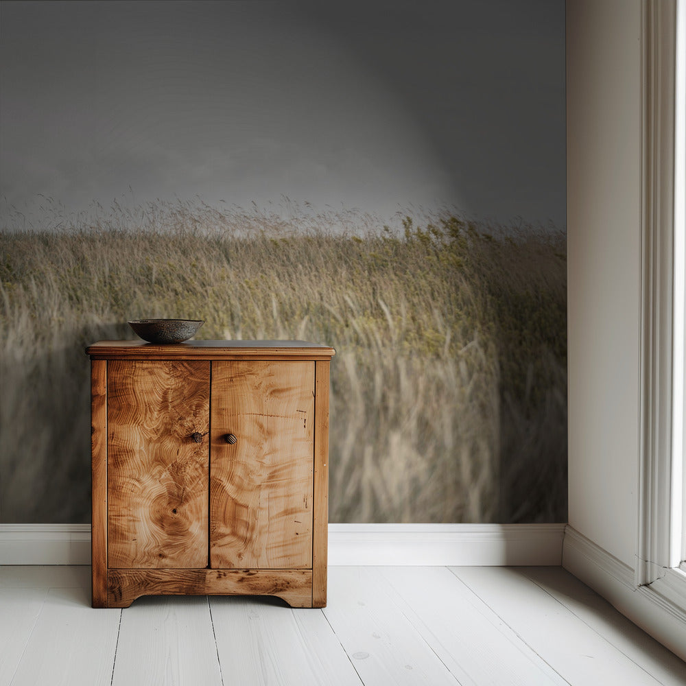 Duinen en wolken 2 | Achtergrond