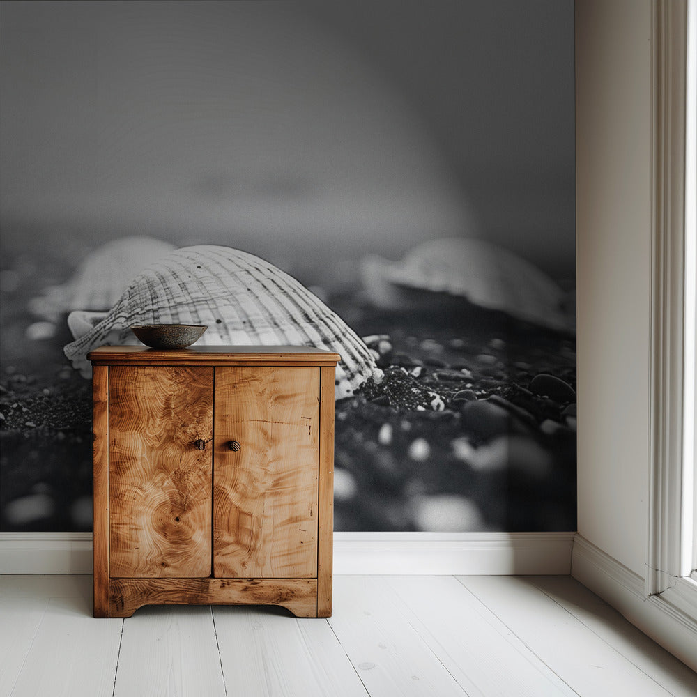 Seashell Serenity | Behang