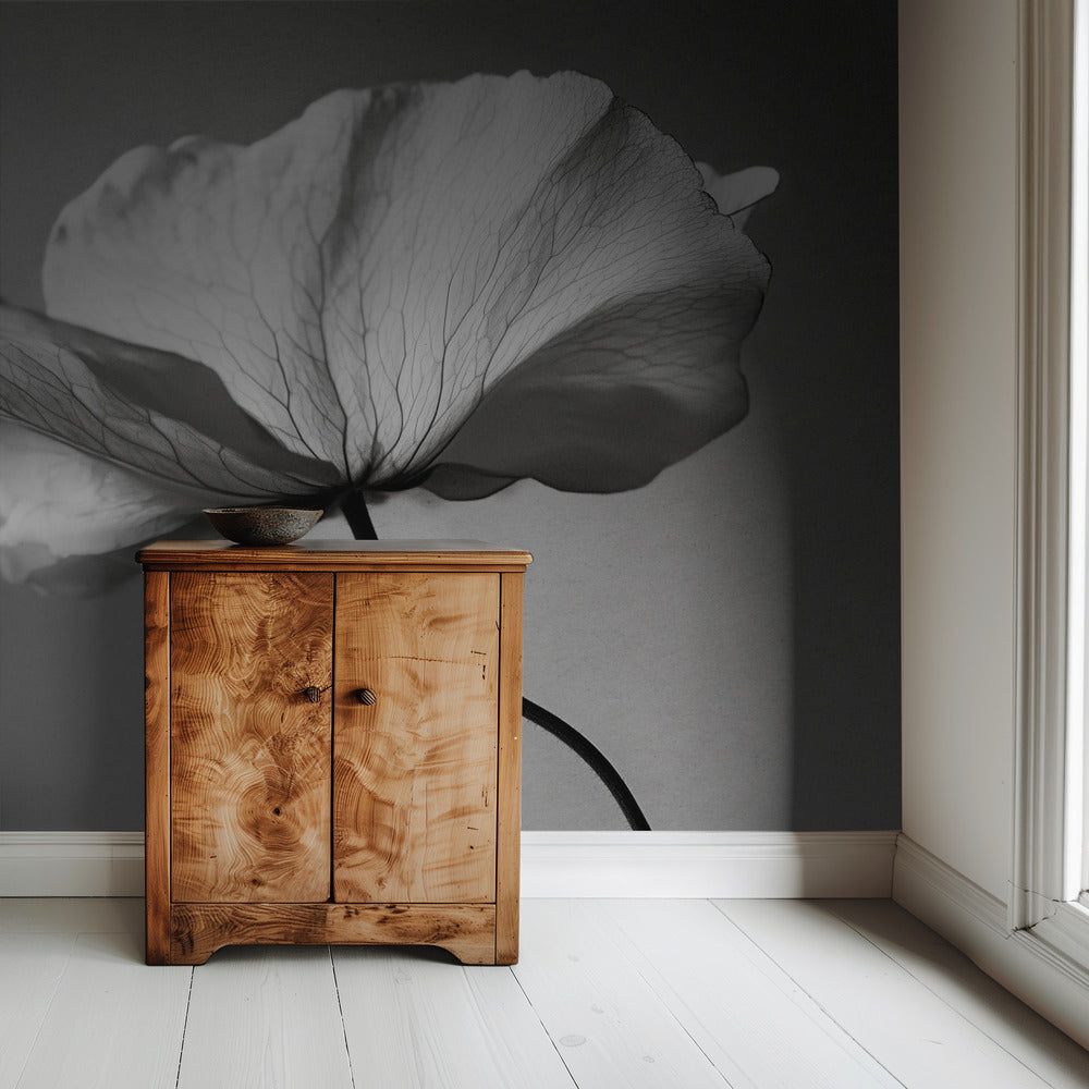 Delicate Bloemblaadjesdans | Behang