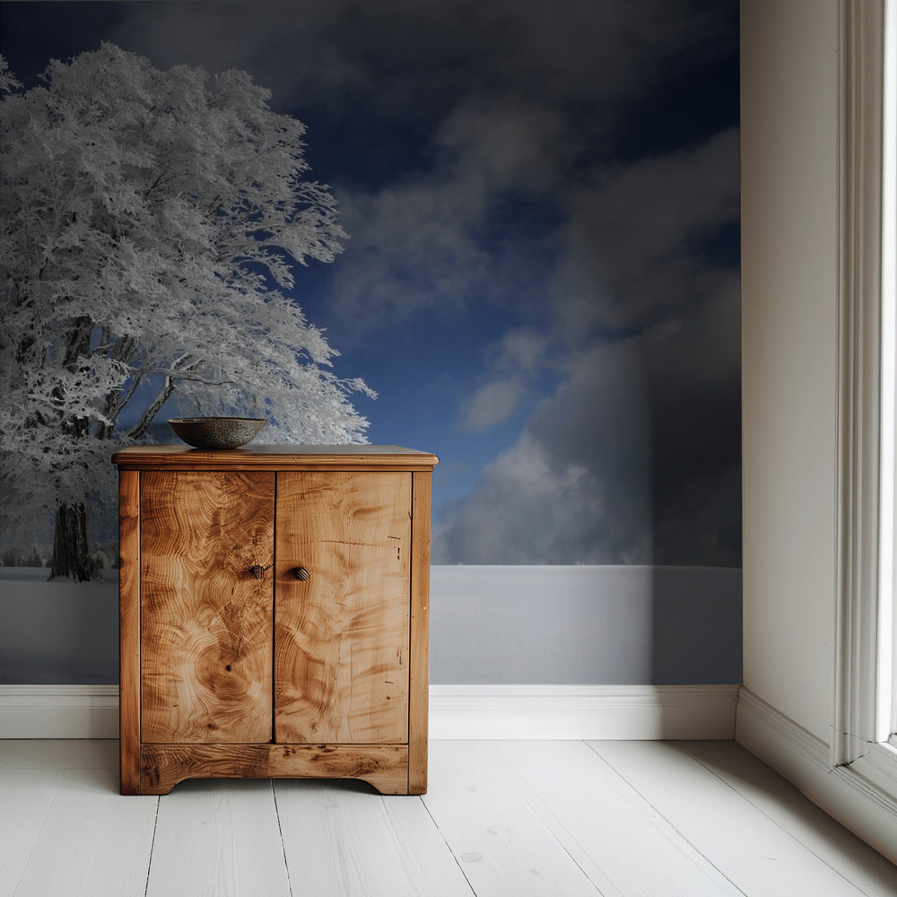 Witte Windbuche in het Zwarte Woud | Behang