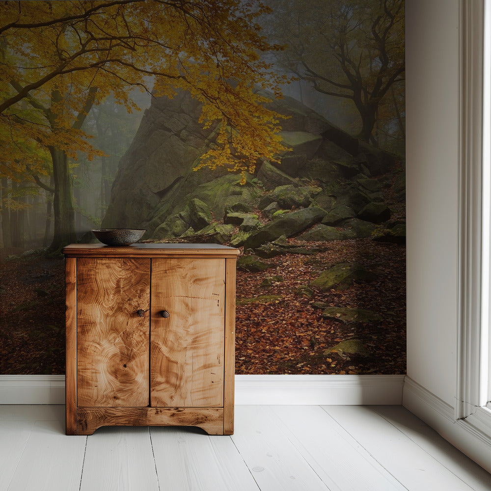 Herfstbos | Behang