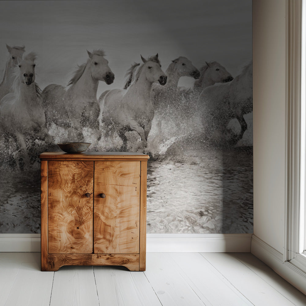 Illusie van kracht (hoewel 13 pk) | Achtergrond