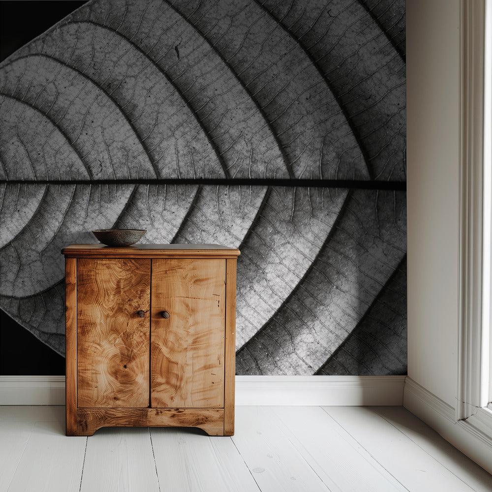 Droge vis | Behang