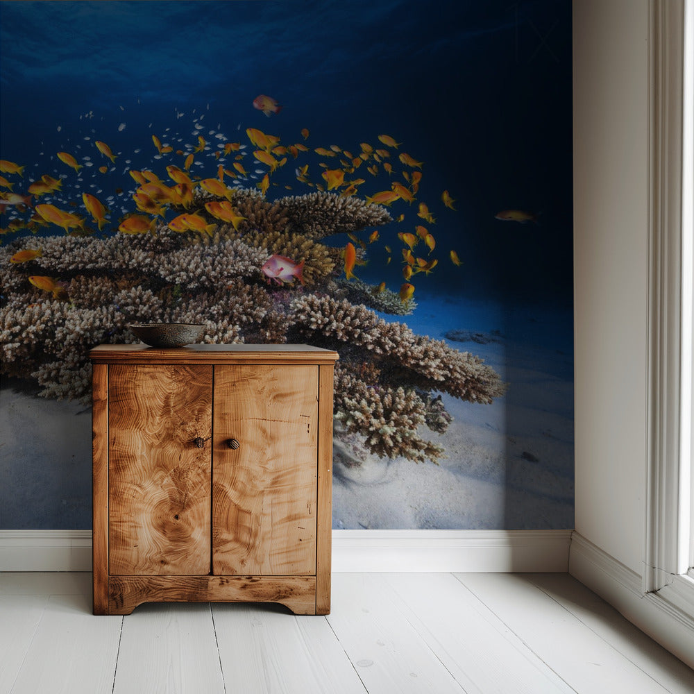 Zeeleven | Behang