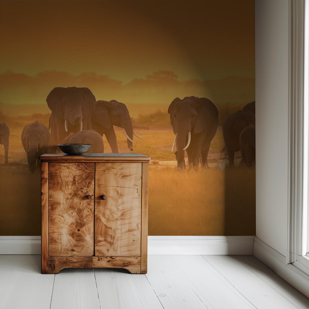 Gouden Licht | Behang