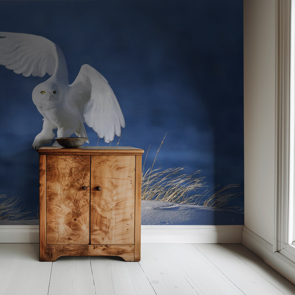 Witte geest demon | Achtergrond