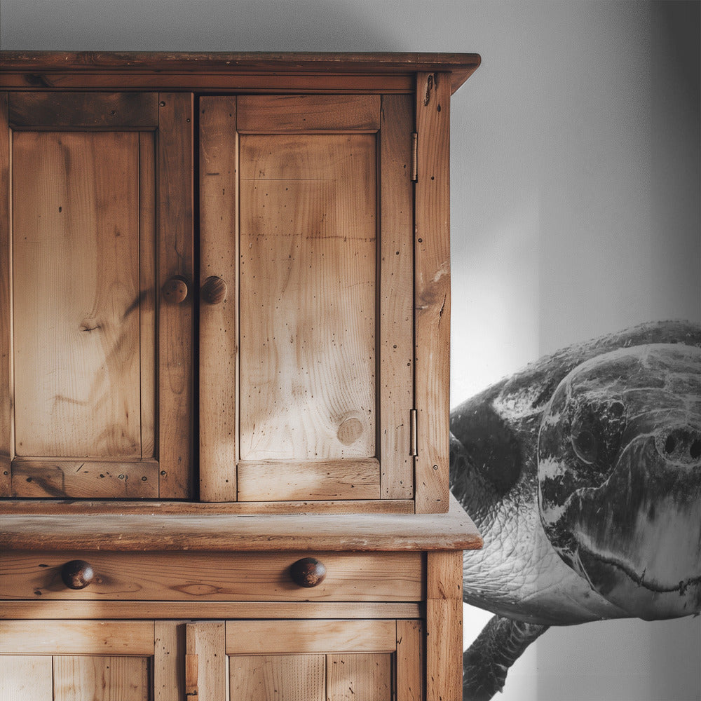 Wit en schildpad | Behang