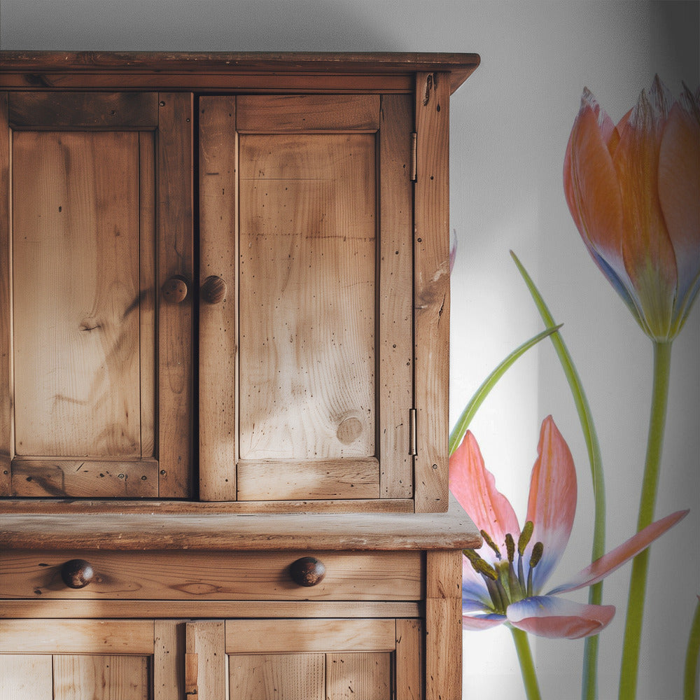 Apricot Tulips | Wallpaper