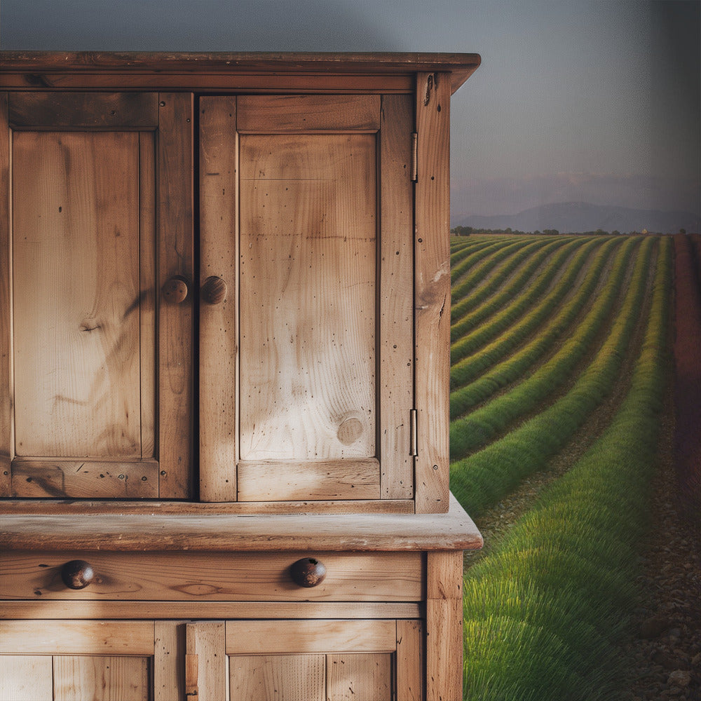 Lavendelveld | Behang