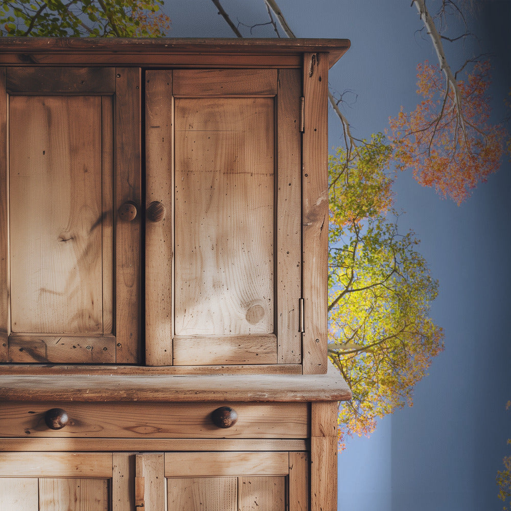 Herfstberken | Behang