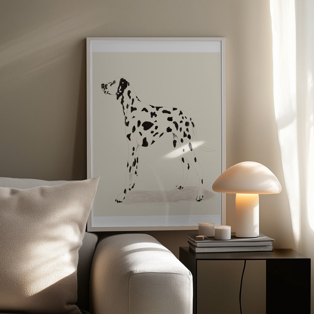Pandc Dalmatiër | Poster