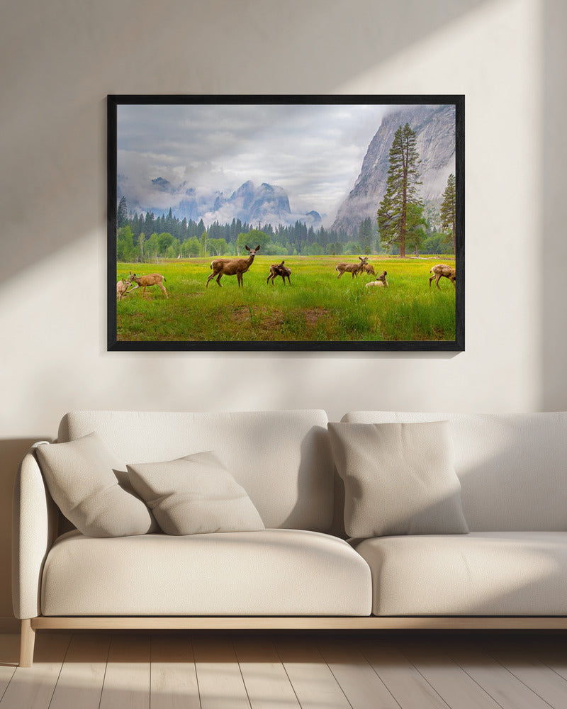 Een gevoel van vervlogen tijden | Canvas
