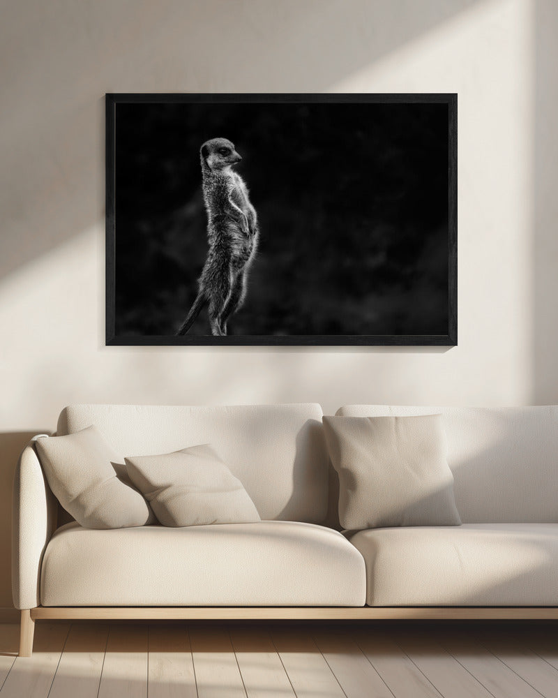 De stokstaartje | Canvas