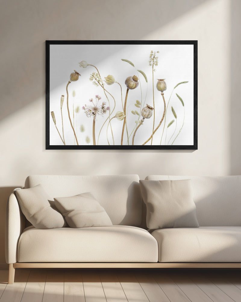 Pods | Canvas