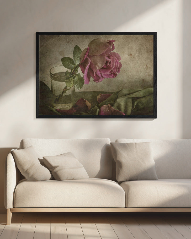 Traan van Roos | Canvas
