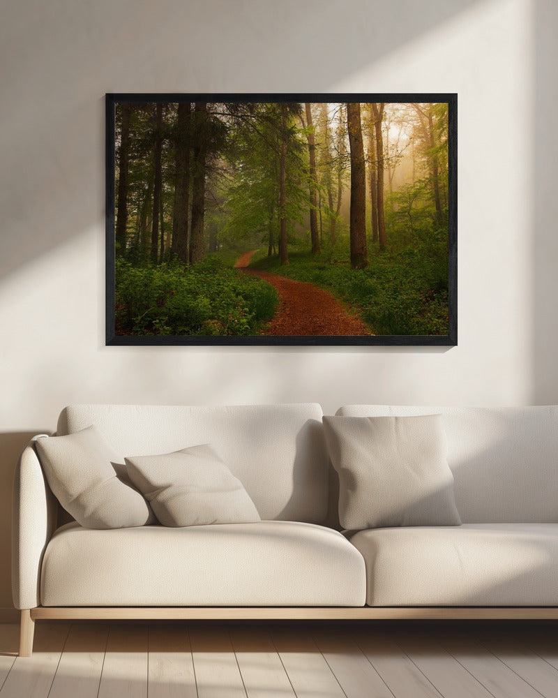 The Red Path. | Canvas