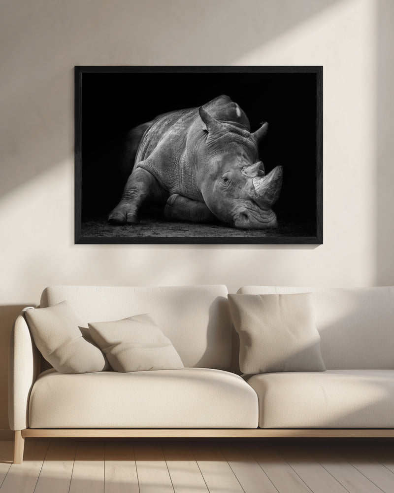 Verslagen | Canvas