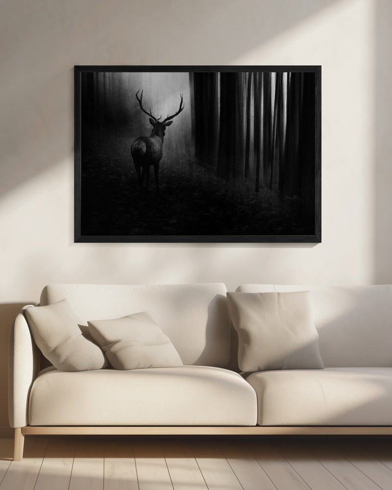 Hert | Canvas