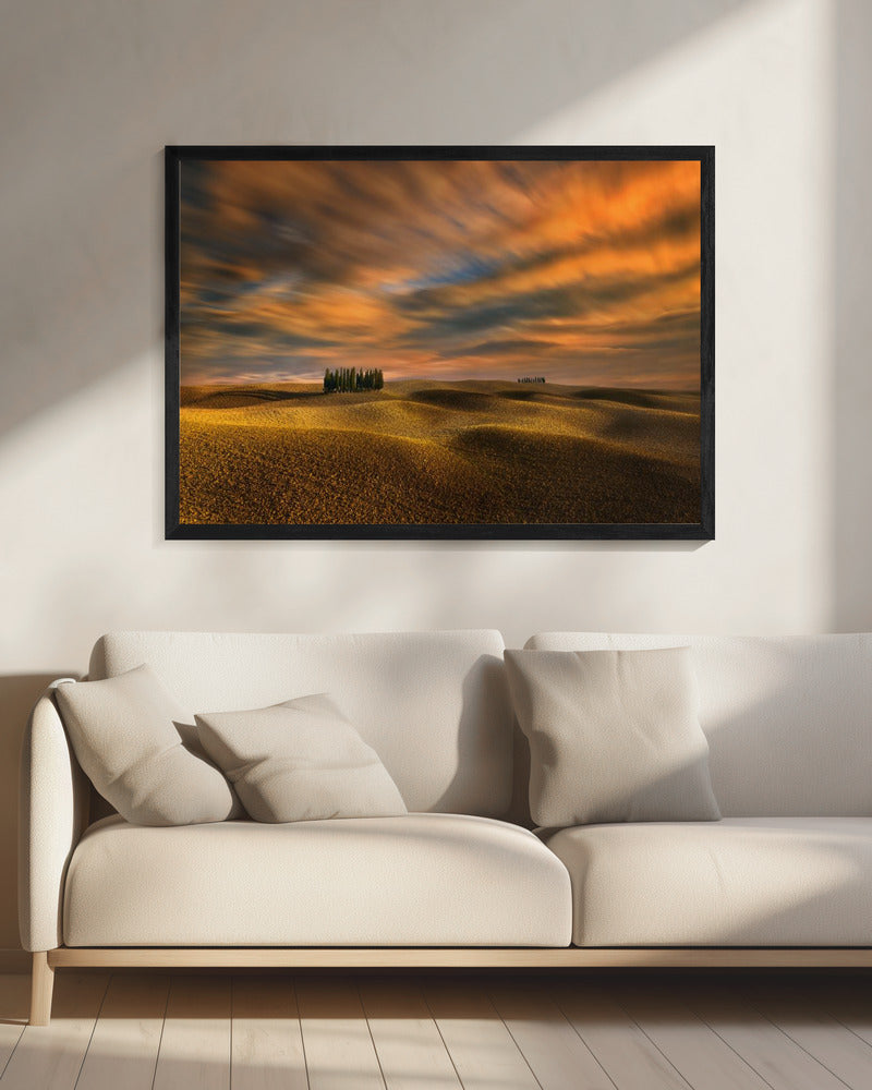 Cipressen... | Canvas