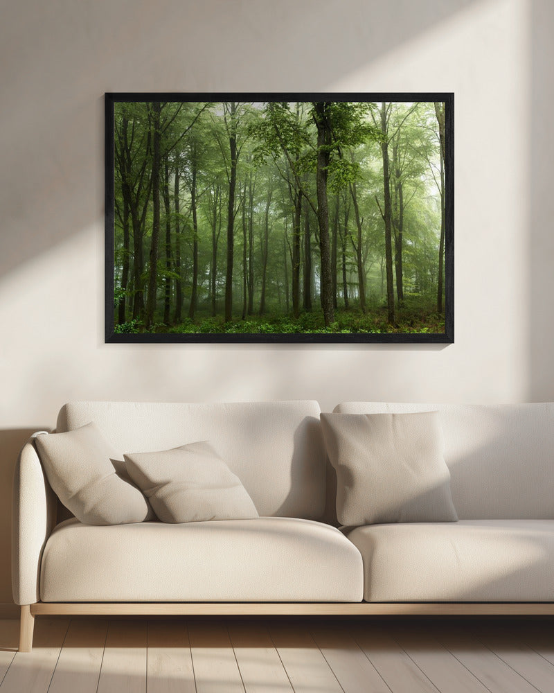 Bos... | Canvas