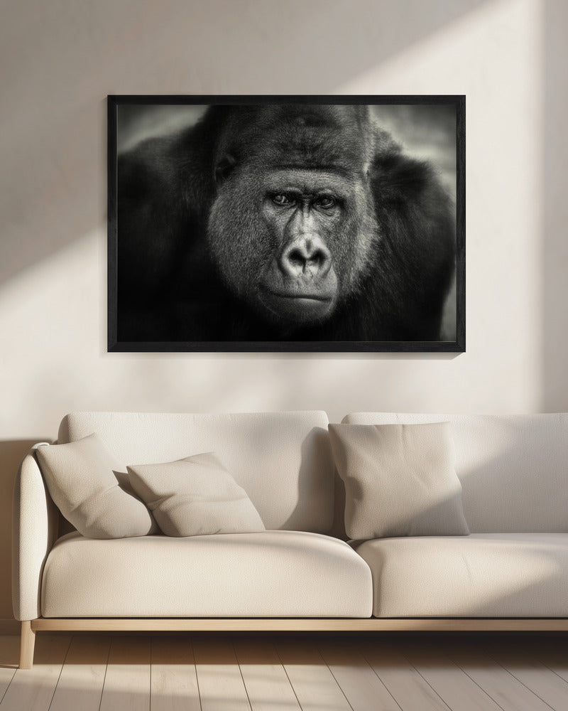 KLEINE GLIMLACH .... | Canvas