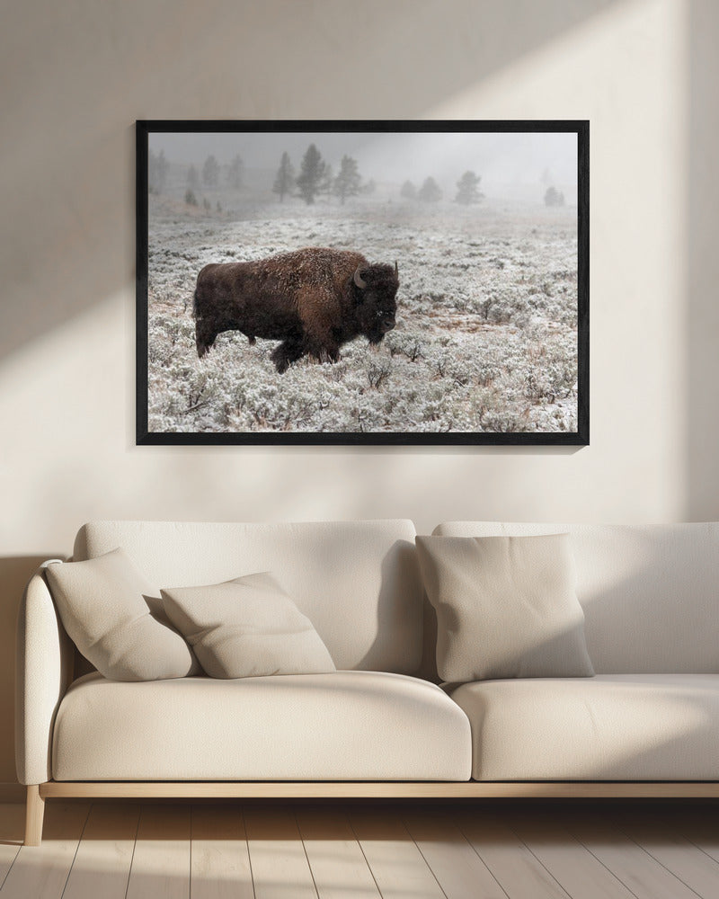 Yellowstone in de late herfst | Canvas