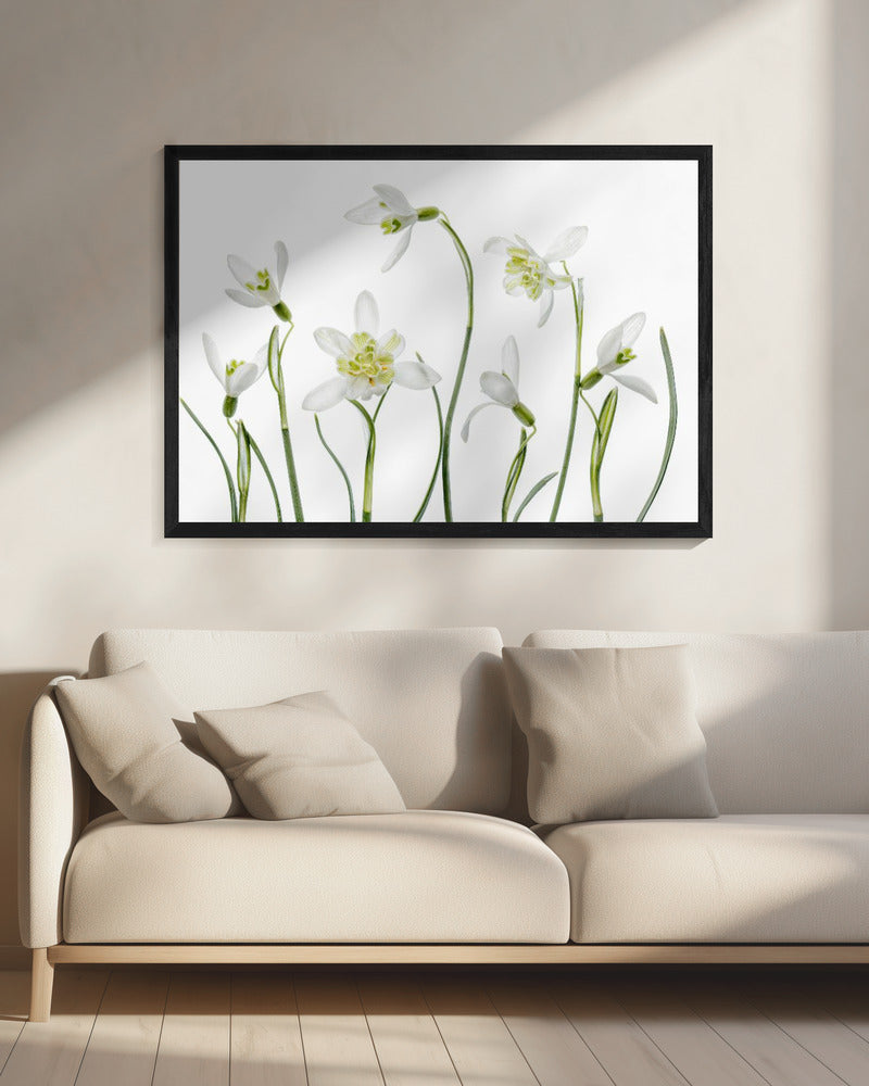 Lentesneeuwklokjes | Canvas
