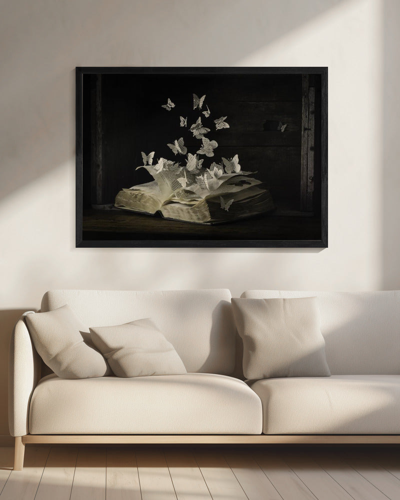 Lepidopterologie | Canvas