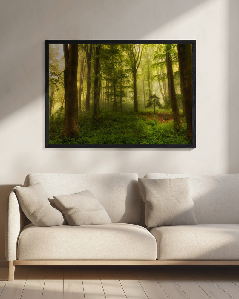 Het kleine boompje | Canvas