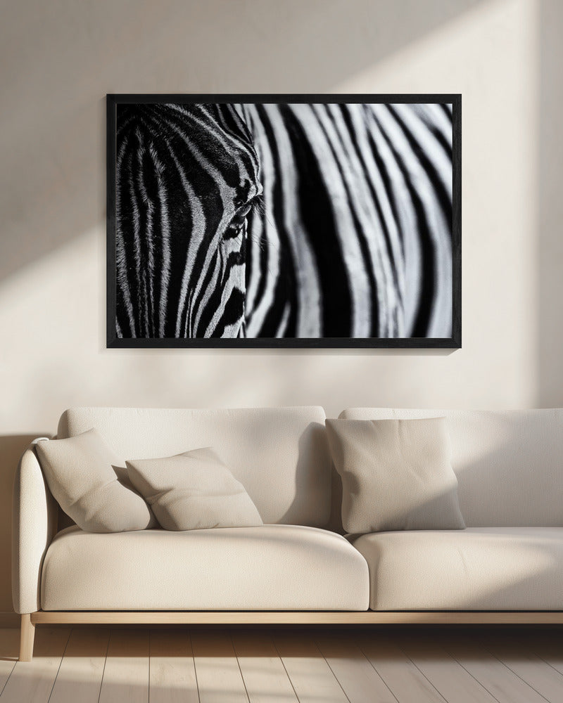 De blik van de natuur | Canvas